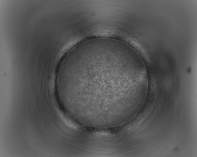 X0000094810586200711241448