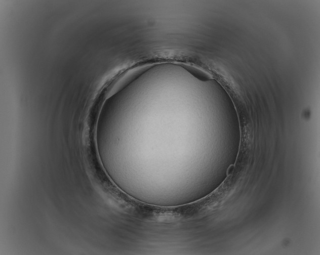 X0000094810587200711241448