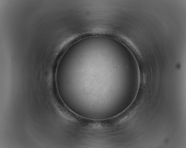 X0000094810588200711241448