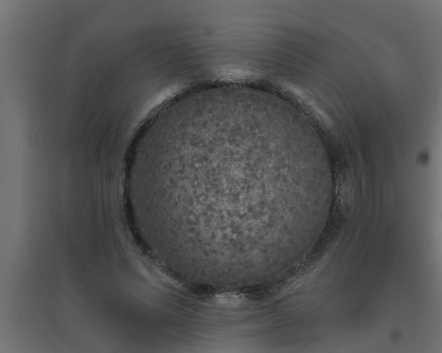 X0000094810591200711241448