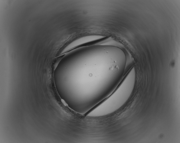 X0000094810593200711241448