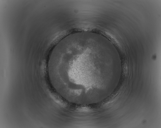 X0000094810594200711241448