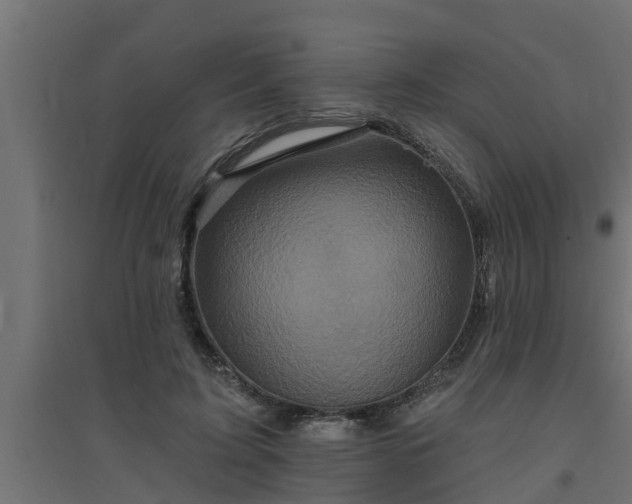 X0000094810595200711241448