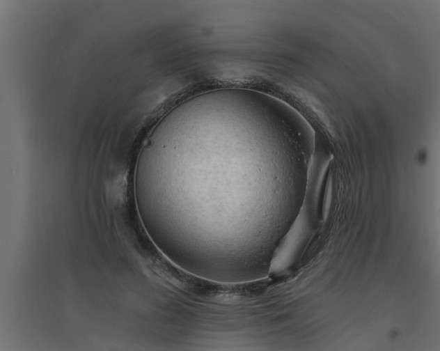 X0000094810596200711241447