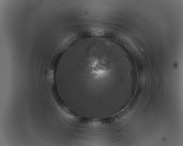 X0000094810598200711241447