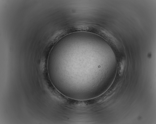 X0000094810600200711241447