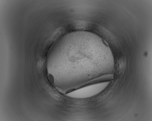 X0000094810601200711241447