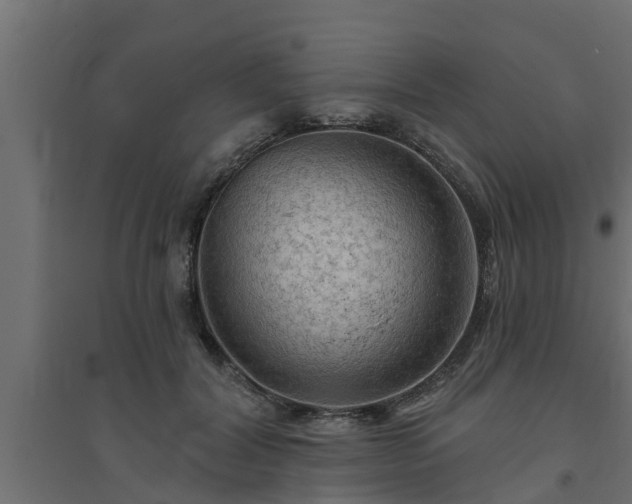 X0000094810604200711241447