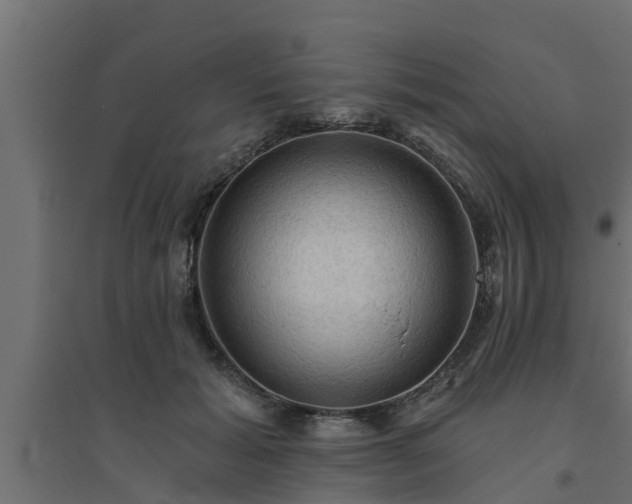 X0000094810605200711241447