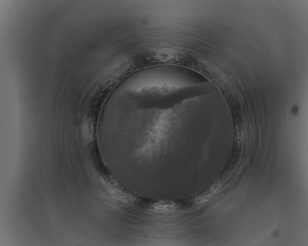 X0000094810606200711241447