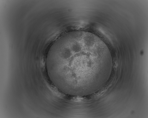 X0000094810607200711241447