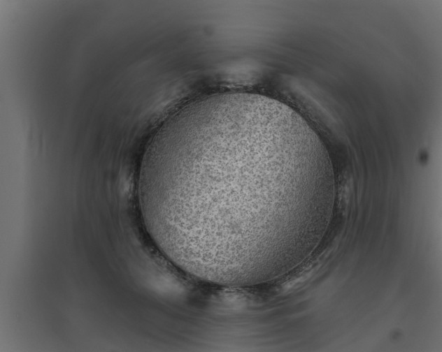 X0000094810608200711241447