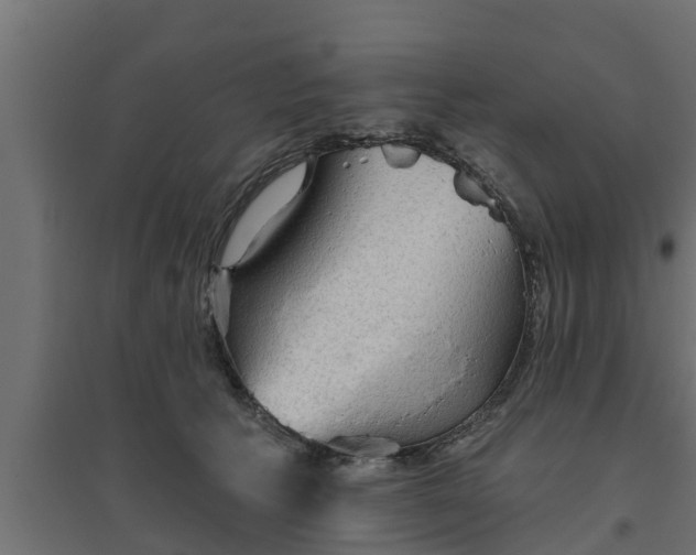 X0000094810609200711241447