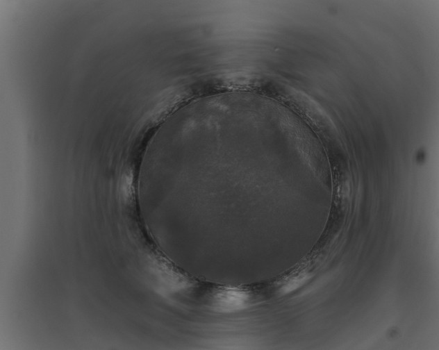 X0000094810610200711241447