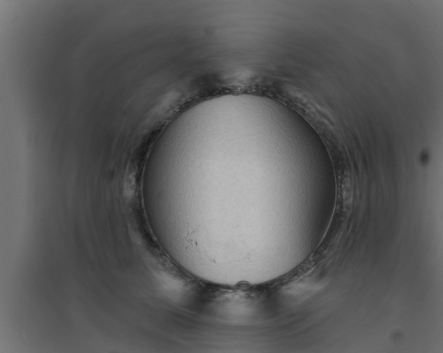 X0000094810611200711241447