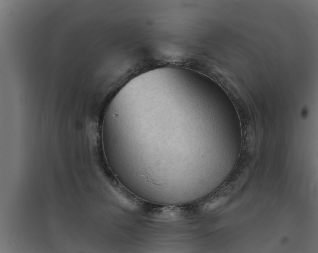 X0000094810612200711241447