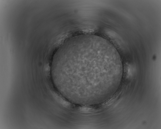 X0000094810614200711241447