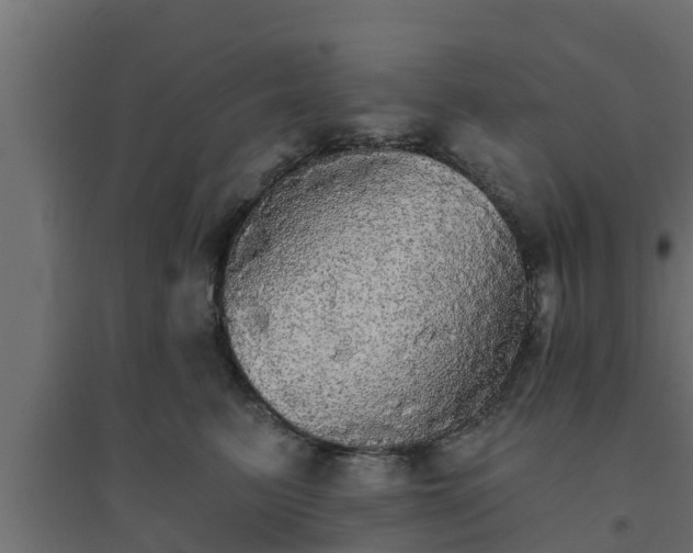 X0000094810615200711241447