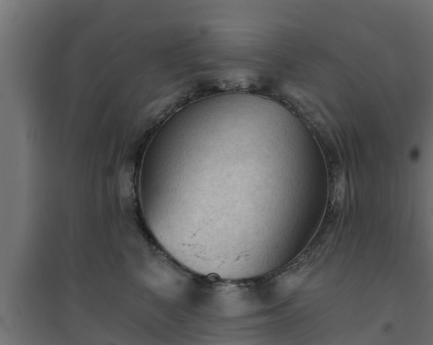 X0000094810616200711241447