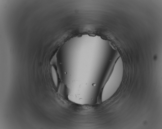 X0000094810617200711241447