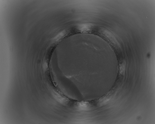 X0000094810618200711241447