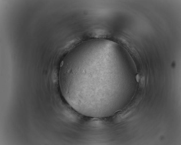 X0000094810620200711241447