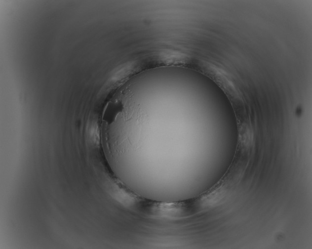 X0000094810622200711241447