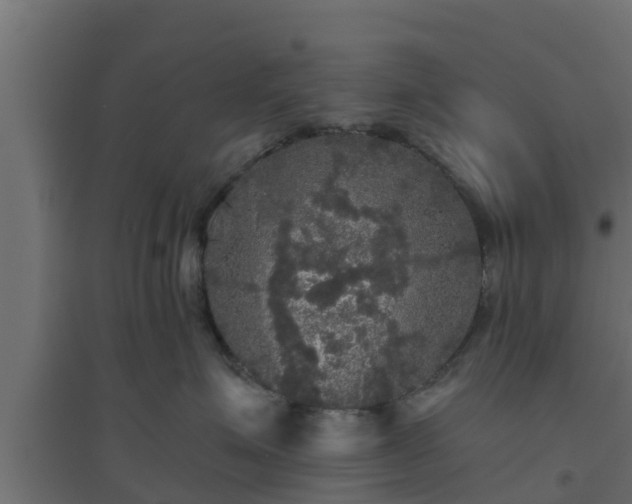 X0000094810623200711241447