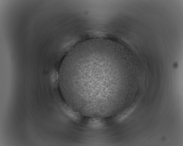 X0000094810624200711241447