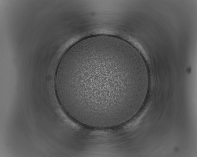 X0000094810625200711241446