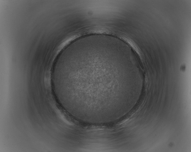 X0000094810626200711241446