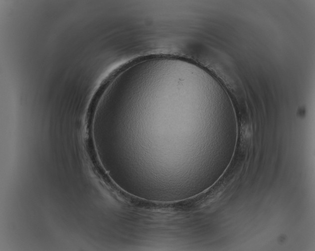 X0000094810628200711241446