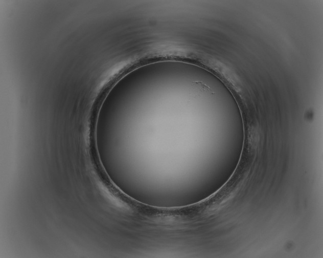 X0000094810629200711241446