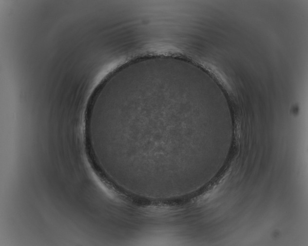 X0000094810630200711241446