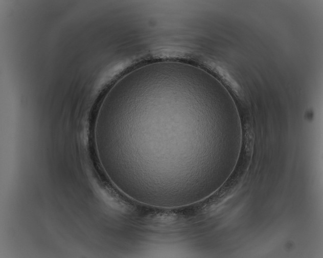 X0000094810631200711241446