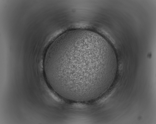 X0000094810633200711241446