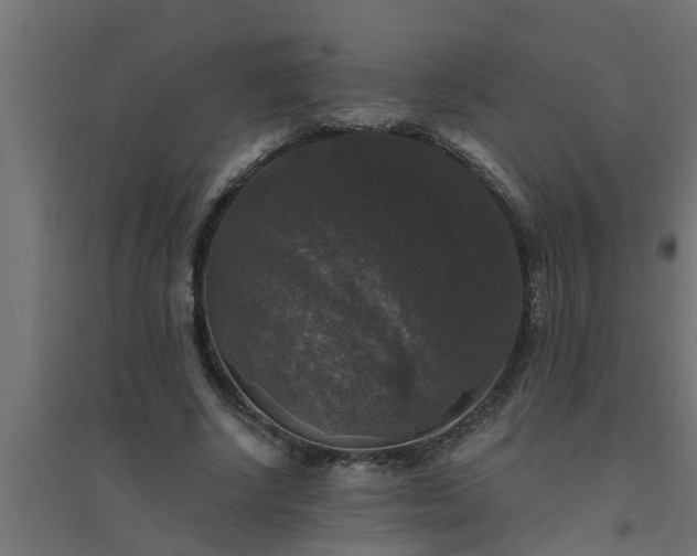 X0000094810634200711241446