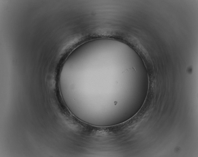 X0000094810635200711241446