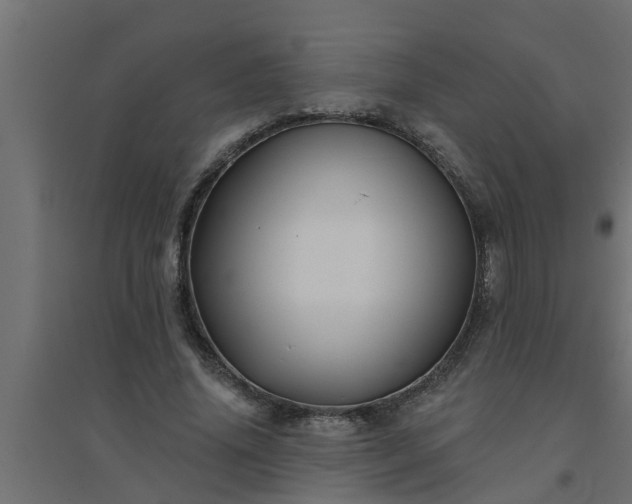 X0000094810636200711241446