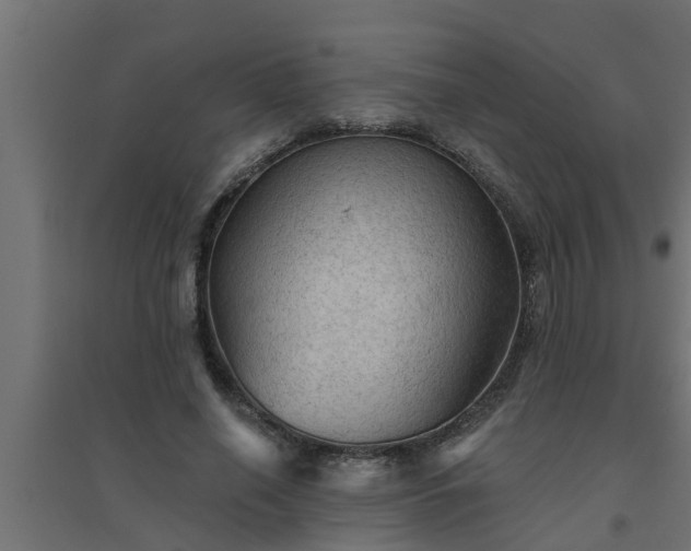 X0000094810638200711241446