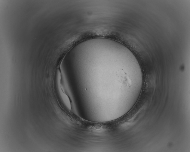 X0000094810639200711241446