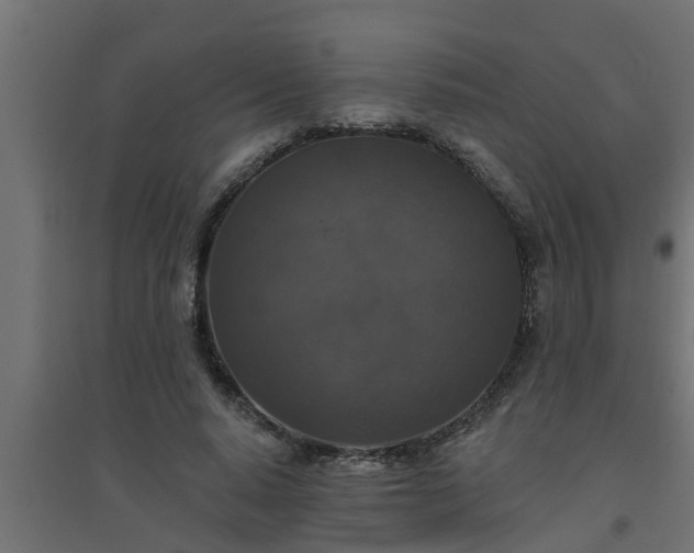 X0000094810640200711241446