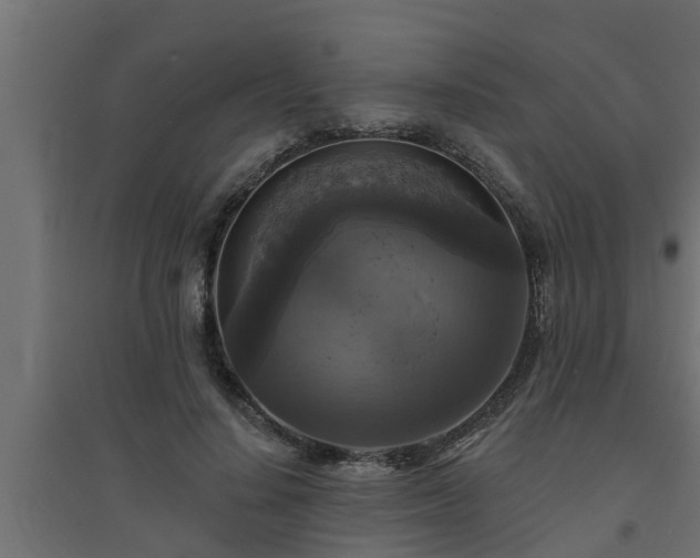 X0000094810644200711241447