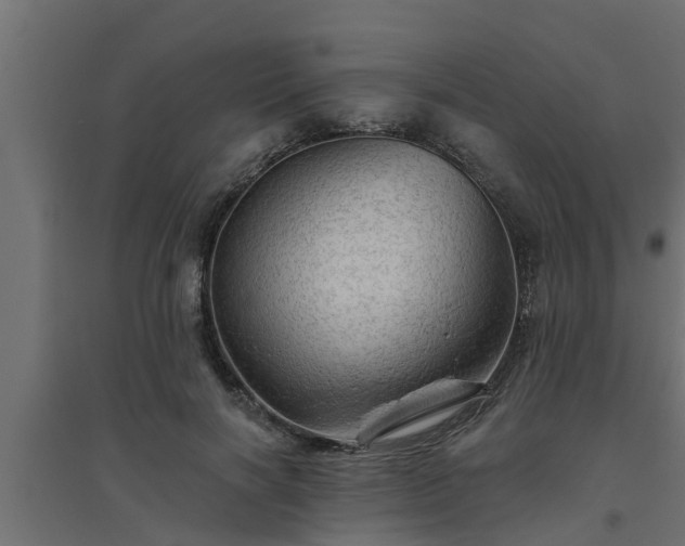 X0000094810646200711241447