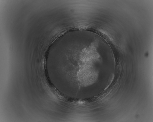 X0000094810647200711241447