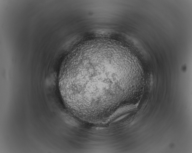 X0000094810649200711241447