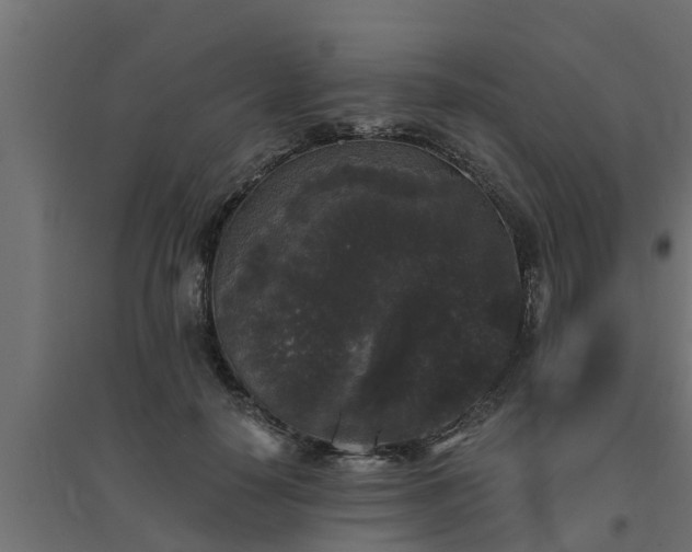 X0000094810650200711241447