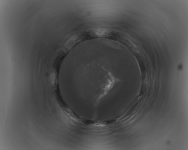 X0000094810651200711241447