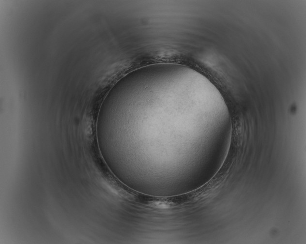 X0000094810654200711241447