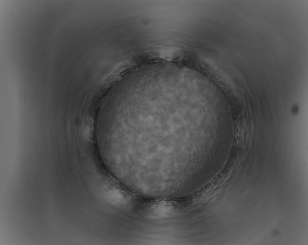 X0000094810656200711241447